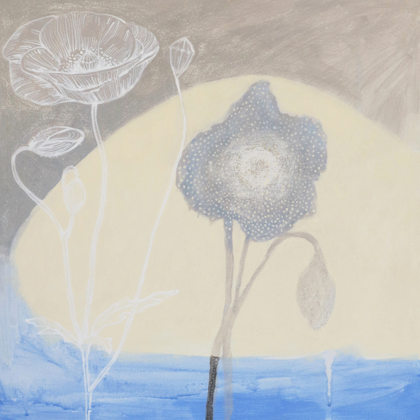 Ocean Poppy Tears